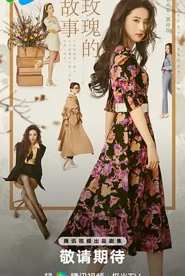 后宫·甄嬛传 剧集 2011 郑晓龙